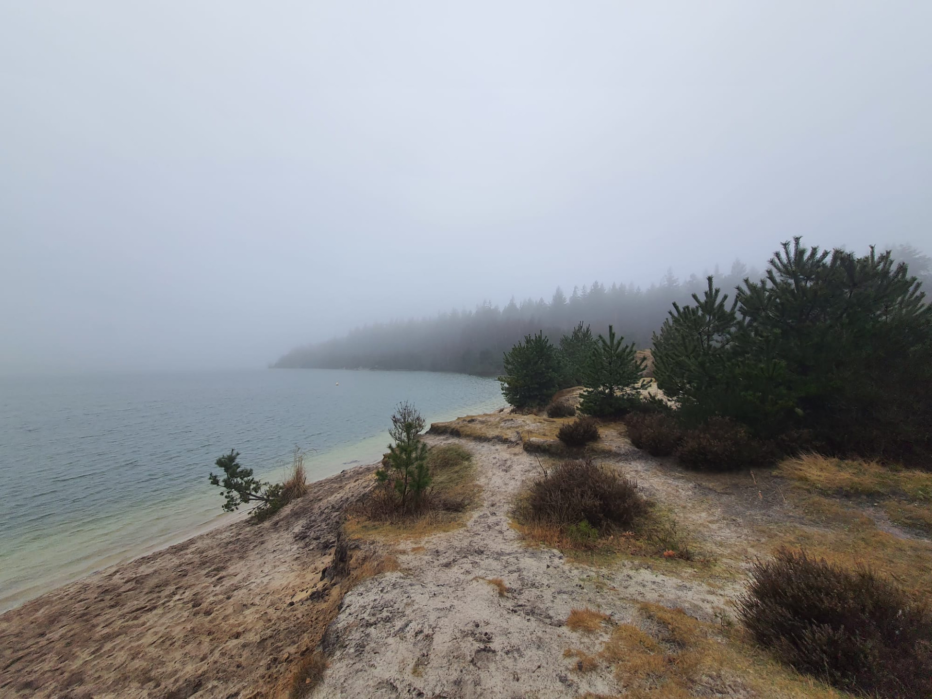 "In de mist lijkt alles vaag. Wij helpen je om te zien wat er verborgen ligt. Het onzichtbare zichtbaar maken".